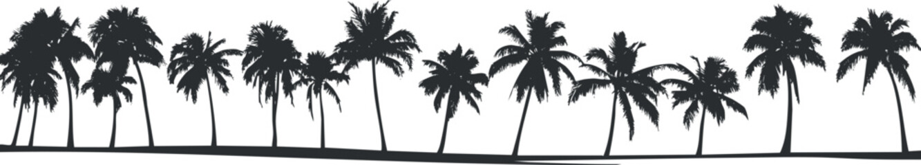 Black silhouette of palm trees in a tropical landscape representing beach and summer vacation