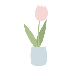 pink tulips in a vase