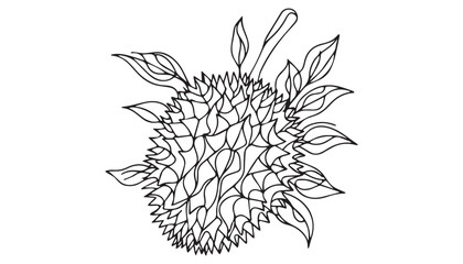 Continuous one single minimal line drawing durian