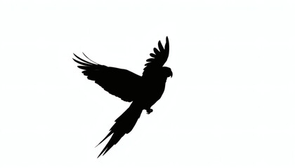 Obraz premium Silhouette of a Bird Flying on a Clean White Background with Minimalist Style