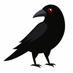 crow on a branch