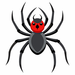 spider on a white background