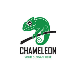 chameleon reptile icon isolated on white background