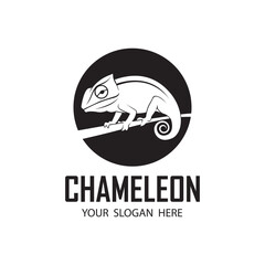 chameleon reptile icon isolated on white background