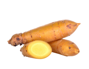 Fresh galangal, one piece cut into slices placed on a white background or png.