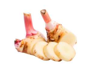 Two fresh galangal stalks, one sliced ​​and placed on a white background or png.