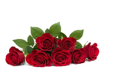 Obraz premium A Stunning Bouquet of Classic Red Roses on White