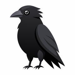 crow on a white background