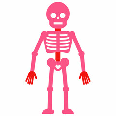 3d rendered illustration of a skeleton