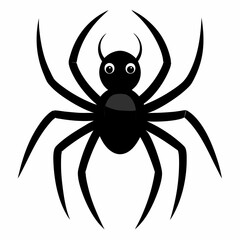 spider on a white background