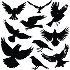 black silhouettes of birds