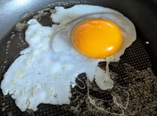 Spiegelei von einem Gänseei
