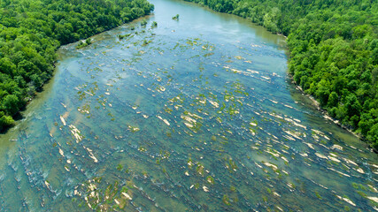 Aerial View of Rocky Riverbed and Lush Forest Irwin Shoals on Lake Martin, Alabama