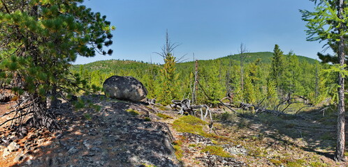 Russia, Buryatia. Panorama of the rocky peak of a mountain pass surrounded by taiga trees.