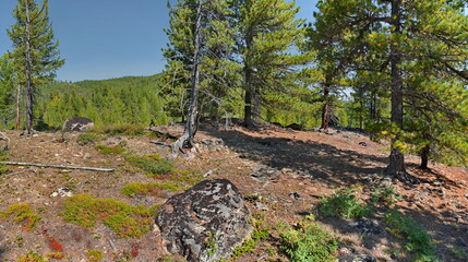 Russia, Buryatia. Panorama of the rocky peak of a mountain pass surrounded by taiga trees.