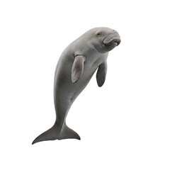 Fototapeta premium Dugong Marine Mammal Animal Wildlife Photo