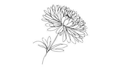 Continuous one single minimal line drawing Dahlia