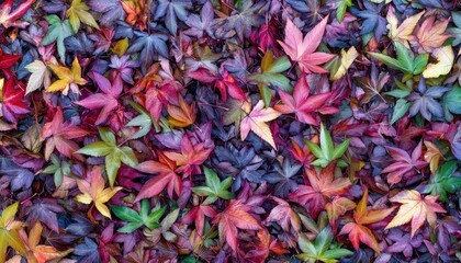 Vibrant Autumn Leaves Carpet