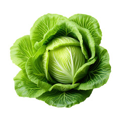 Obraz premium cabbage isolated on transparent white background, clipping path