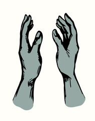 Young human hands. Vector drawing
