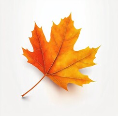 A realistic maple leaf, vector illustration with a white background. The colors are orange and yellow. There are slight shadows under the leaf. The picture contains only one maple leaf, with no other 