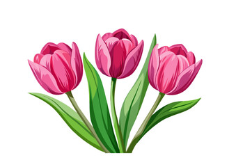 bouquet of pink tulips