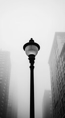 Fototapeta premium Foggy City Lamp Post