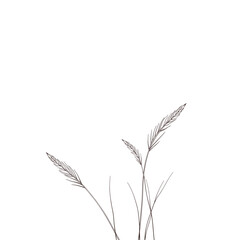 Minimalist line drawing of grass, monochrome, for branding