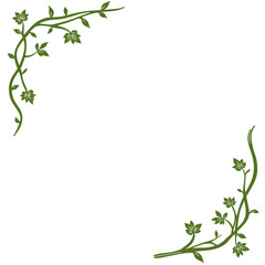 Green vine corner frame, for design projects