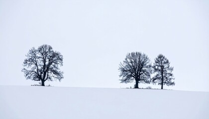 Winters Minimalism Trees in a SnowCovered Field