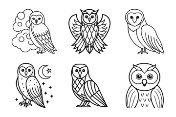 Barn Owl Set 6