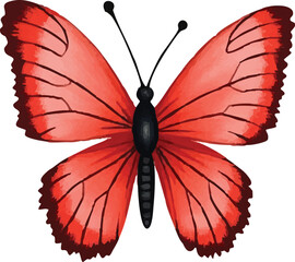 Adobe Illustrator Artwork butterfly