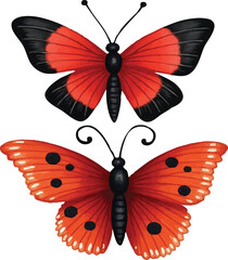 Adobe Illustrator Artwork butterfly