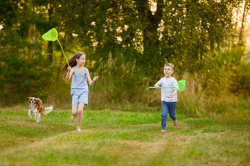 Cute brother and sister running barefoot with butterfly net on grass while playing outside with...