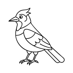 blue jay icon, blue jay vector illustration-simple illustration of blue jay, perfect for blue jay logos and icons