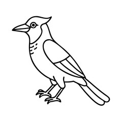blue jay icon, blue jay vector illustration-simple illustration of blue jay, perfect for blue jay logos and icons