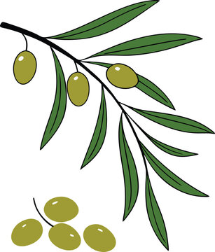 recommend clip art: green olives icon