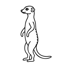 meerkat standing icon, meerkat standing vector illustration-simple illustration of meerkat standing, perfect for meerkat standing logos and icons