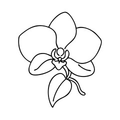 orchid flower icon, orchid flower vector illustration-simple illustration of orchid flower, perfect for orchid flower logos and icons