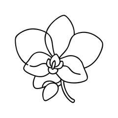 orchid flower icon, orchid flower vector illustration-simple illustration of orchid flower, perfect for orchid flower logos and icons