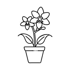orchid pot icon, orchid pot vector illustration-simple illustration of orchid pot, perfect for orchid pot logos and icons
