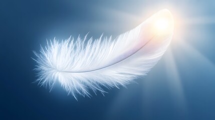 Single White Feather Floating Sunlight Rays Background