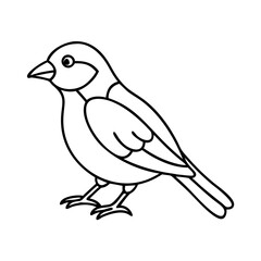 sparrow icon, sparrow vector illustration-simple illustration of sparrow, perfect for sparrow logos and icons