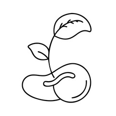 sprouting bean icon, sprouting bean vector illustration-simple illustration of sprouting bean, perfect for sprouting bean logos and icons
