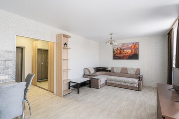 standard interior apartment. living room with sofa