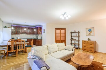 standard interior apartment. living room with sofa