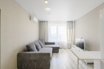 standard interior apartment. living room with sofa