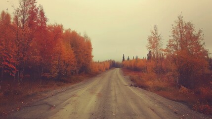 Naklejka premium Curved forest road with yellow and red autumn leaves in a serene natural setting