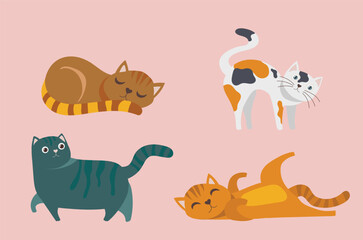 Cute kittens set of 4 cats isolated with baby pink background