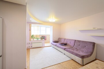standard interior apartment. living room with sofa